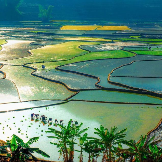 Lai Chau